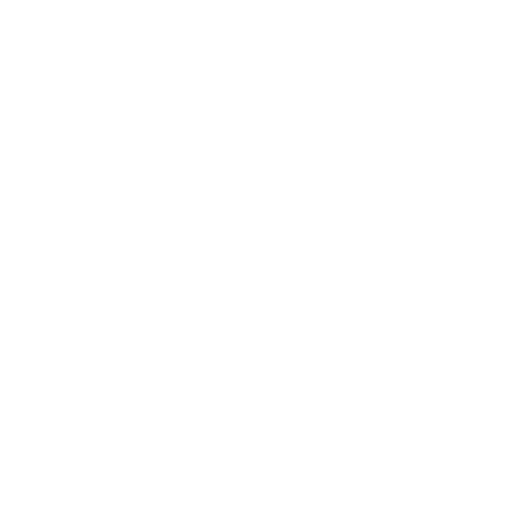 P.I.B. X AGENT